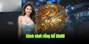 Cách Chơi Rồng Hổ - Trải Nghiệm Cá Cược Theo Cửa Tại Sin88