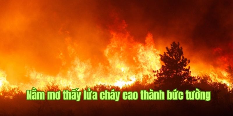 Chiêm bao lửa tạo thành một bức tường lớn 