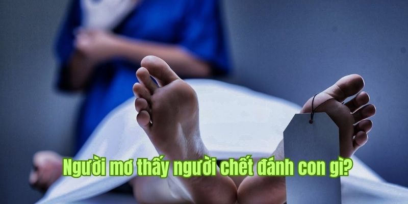 Tổng hợp kinh nghiệm chơi cá cược lô đề tại Sin88